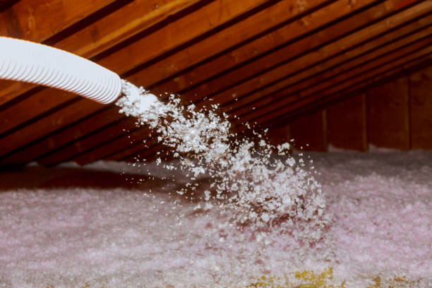 Best Specialty Insulation in Folsom, NJ