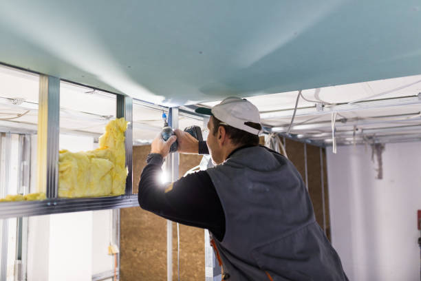Best Residential Insulation in Folsom, NJ